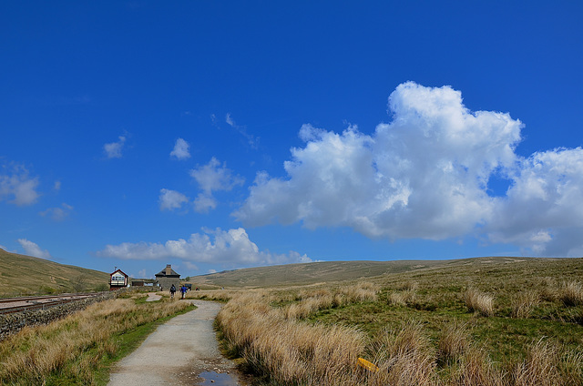 Ribblehead