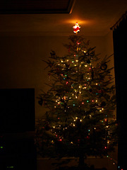 my tree  :)