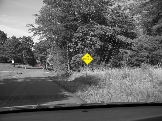 100_3823.jpg edited Selective Coloring Experiment 4.jpg