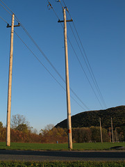 Power Lines from Mt. Tom