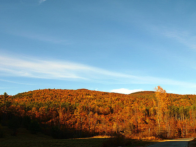 colored scenes