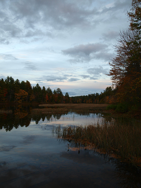 autumn reflections