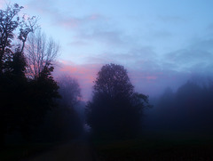 foggy mornging walk