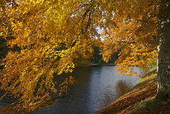 Bremen - Wallanlagen im Herbst
