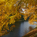 Bremen - Wallanlagen im Herbst