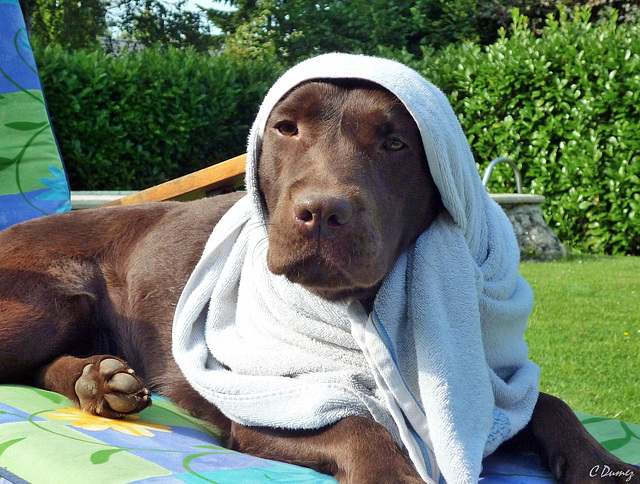 Après le bain !