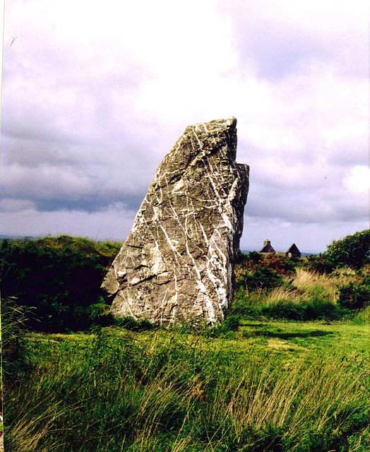 Marled Standing Stone, North Cornwall near Boscastle, England