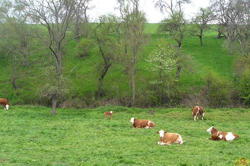 2013-05-01 24 Wilsdruff - Coswig