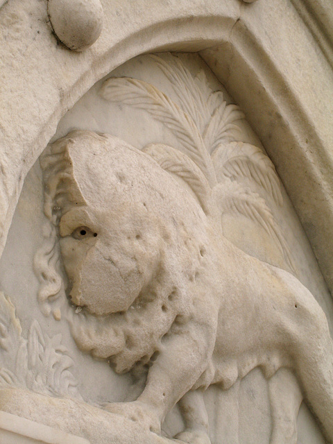 One-Eyed Lion