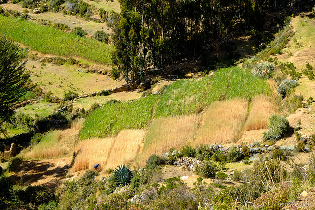 Yumani - Isla del Sol - Lago Titicaca - Bolivia