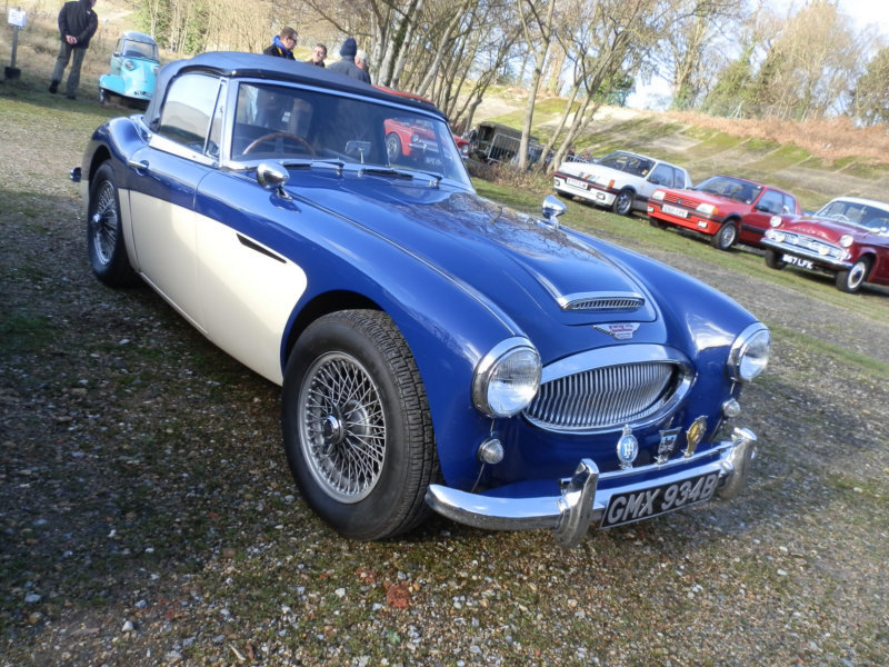 bgnydjan12013 (1336)