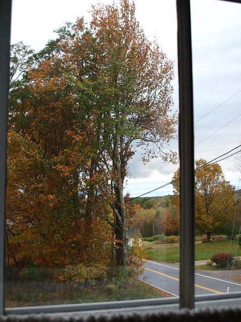 Autumn out my window