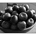 Apple Still Life in black and white