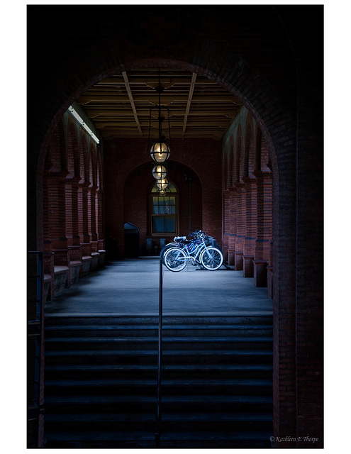 Bicycles Flagler College