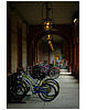 Bicycles Flagler College