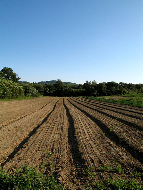 Furrows