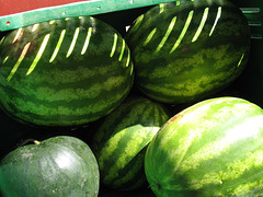 Watermelons