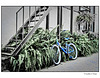 Bicycle in Alley Artistic