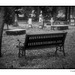 Cemetery Bench in black and white artistic