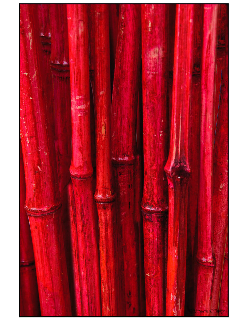 Red Bamboo