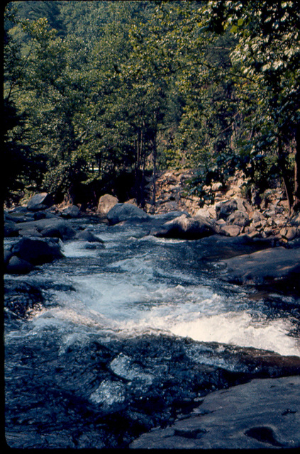 Gatlinburg With Tom and Karen - 1974