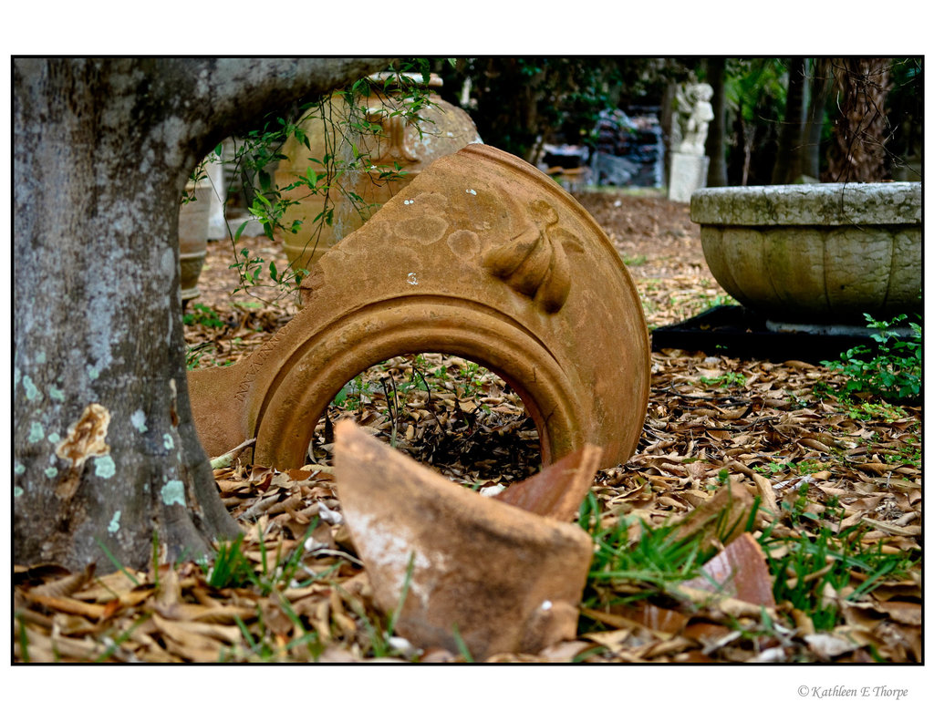 Pottery Shards