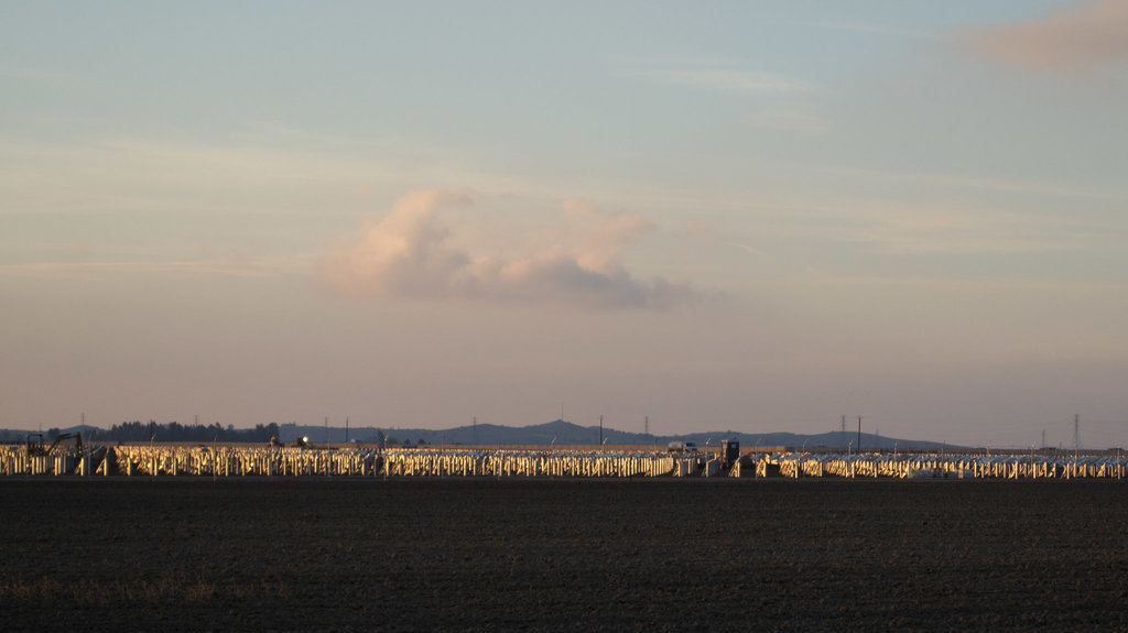 California Valley Solar Ranch (0934)