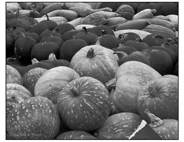 Pumpkins in black and white