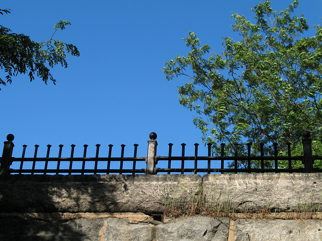 Fence Above