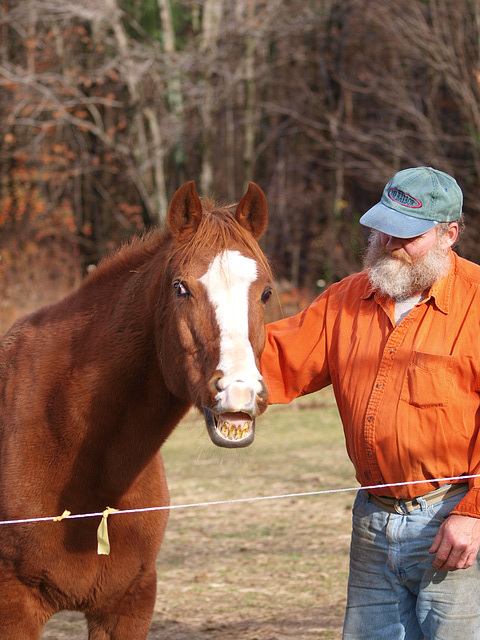 smile for the camera...good horse!