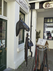 Worcester 2013 – Horse's head