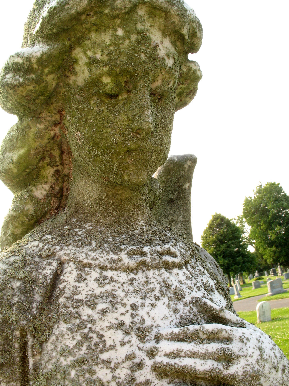 Angel with Lichen