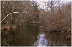 Lake Wintergreen