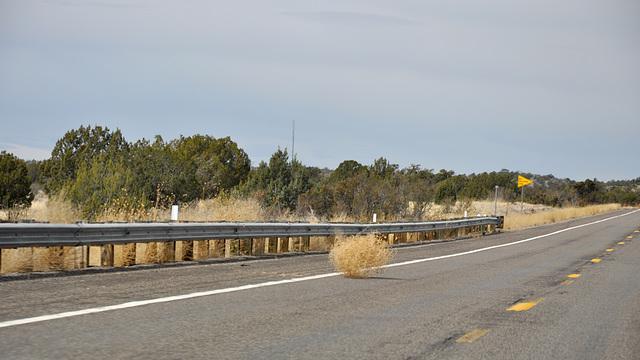 Tumbleweed