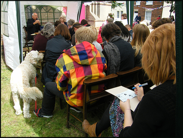 Elsie the dog plays bingo