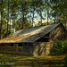 Heritage Village Historic Barn - HDR Lenabem Texture