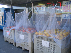 Produce nets