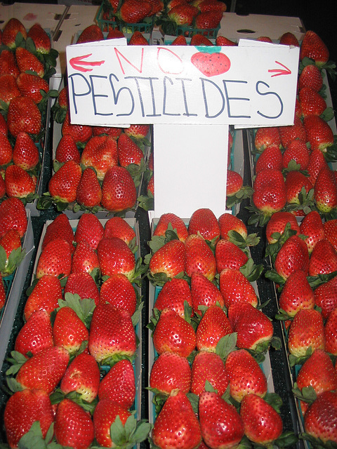 Strawberries