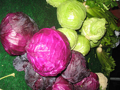 Cabbages