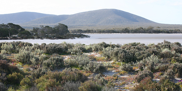 Mt Sturt East from the south