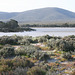 Mt Sturt East from the south