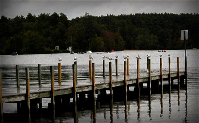 dock decor