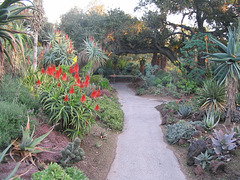 Huntington Gardens 2