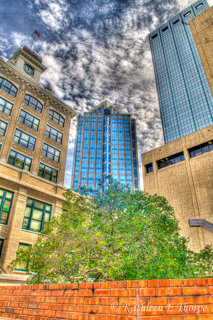 Tampa City Hall Plaza