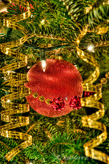 Christmas Tree Red Ball Ornament Our Tree 2012