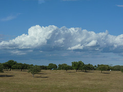 Campos de Extremadura