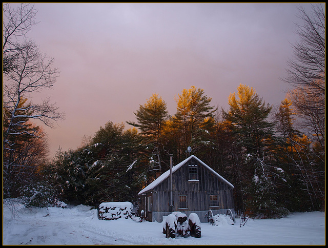 Soggy Bottom Hollow, my home.