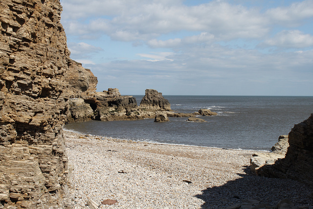 Coast at Whitburn