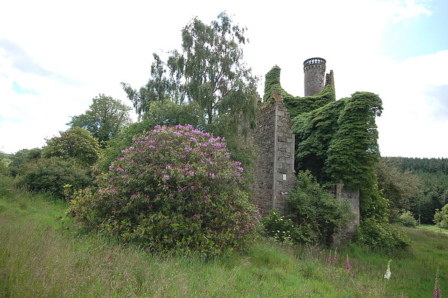 Rothie Castle, Aberdeenshire (77)