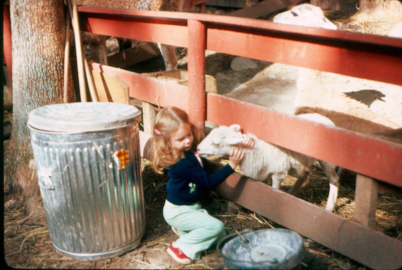 1979 - Family Outing at New Jersey Park